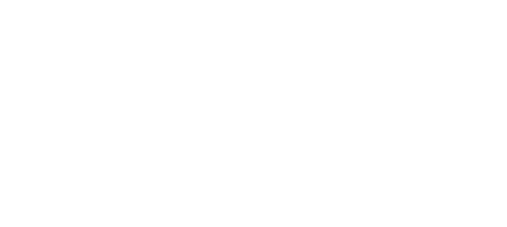 Amy Shark Logo